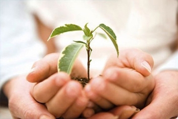 Social work Fate and hope